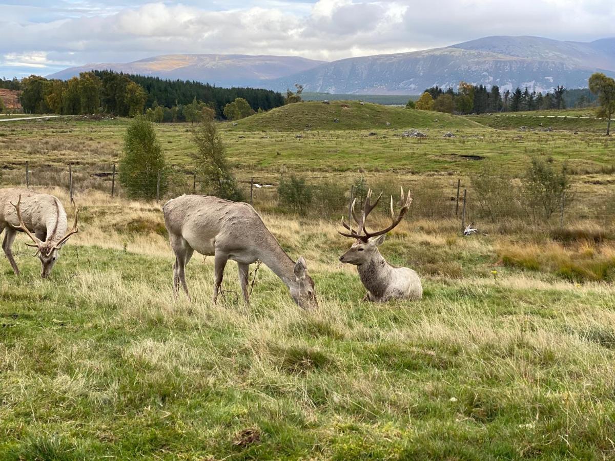 Ardenbeg Hotel Grantown-on-Spey Kültér fotó